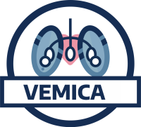 escudo vemica